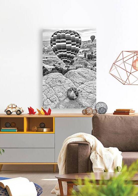 Black and white image of a dog sleeping in cappadocia  by Gualtiero Boffi