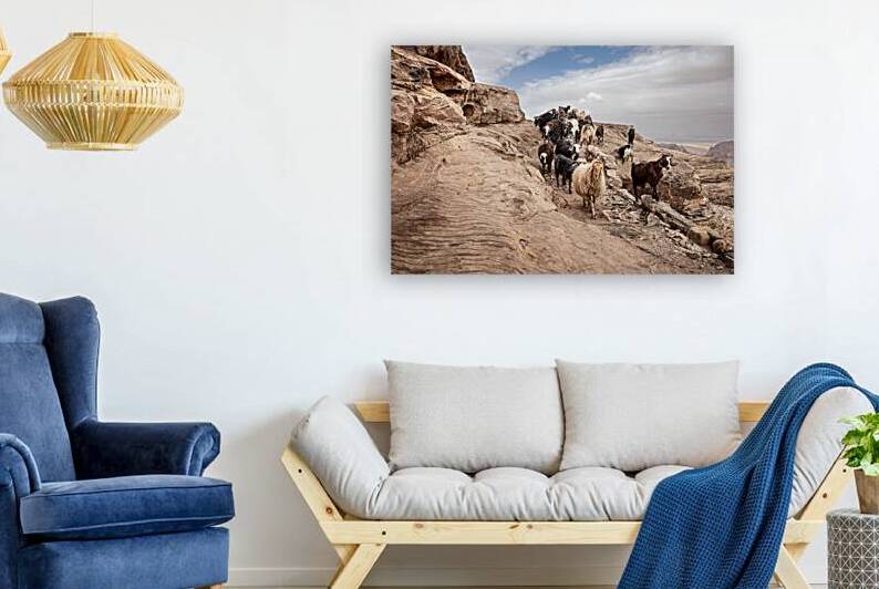Goats are walking on a rocky mountain path in petra jordan sho by Gualtiero Boffi