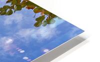 Tokyo Sky Tree  HD Metal print