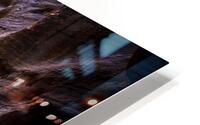 petra canyon experience HD Metal print