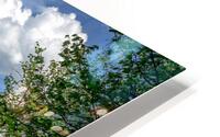 brunico castle view HD Metal print