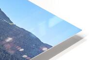 view of sciury HD Metal print