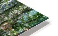 pathway in the forest HD Metal print