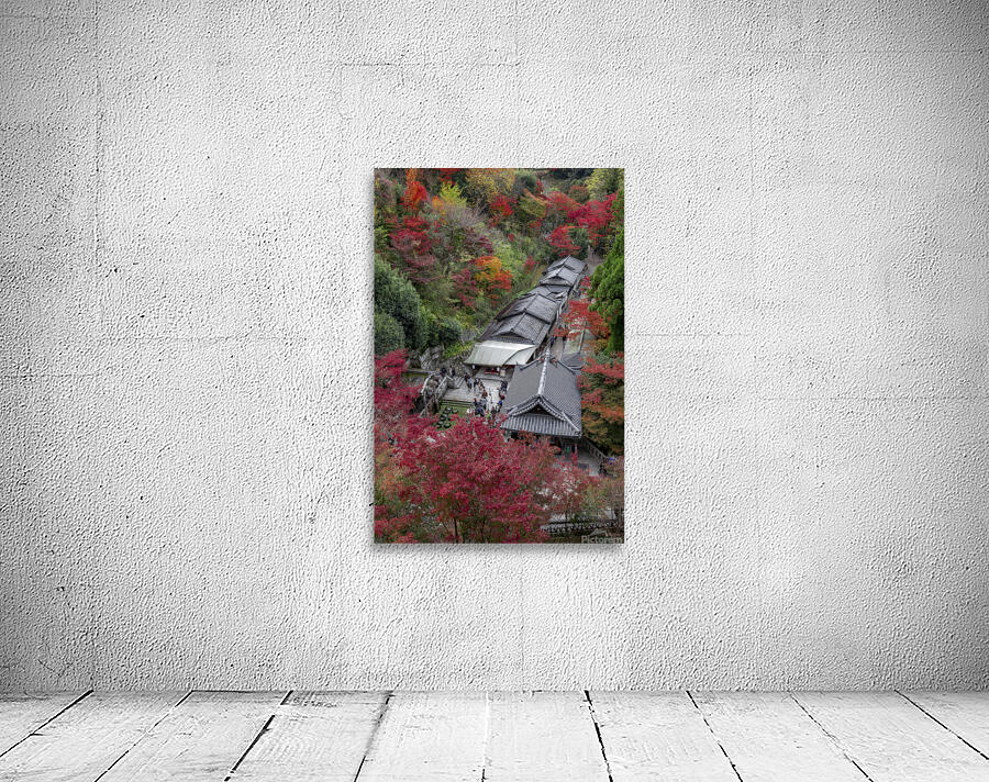 Top view of the kiyomizu dera temple spring Wall Preview