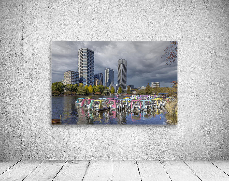 lake in Ueno Park in Tokyo Wall Preview