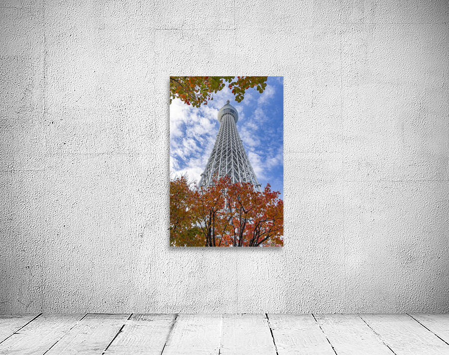 Tokyo Sky Tree  Wall Preview