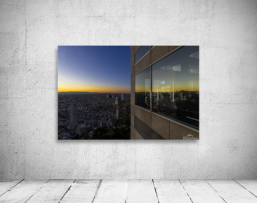 people observe the Tokyo cityscape from the government building Wall Preview
