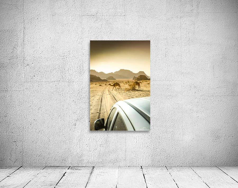 wandering camels background Wall Preview