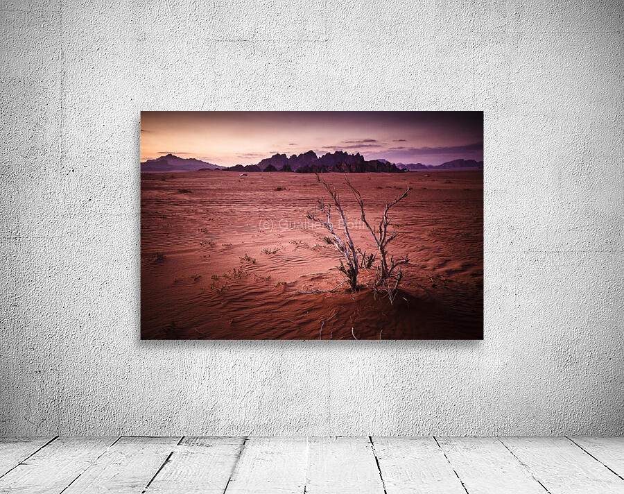 wadi rum at sunset Wall Preview