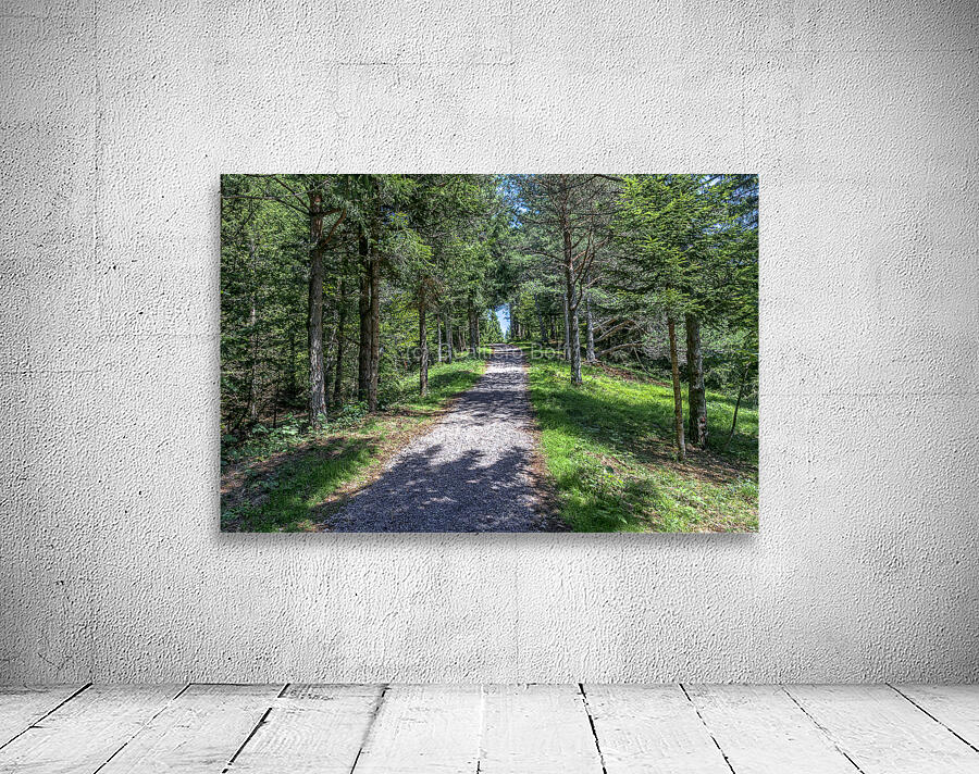 sciury pathway view Wall Preview