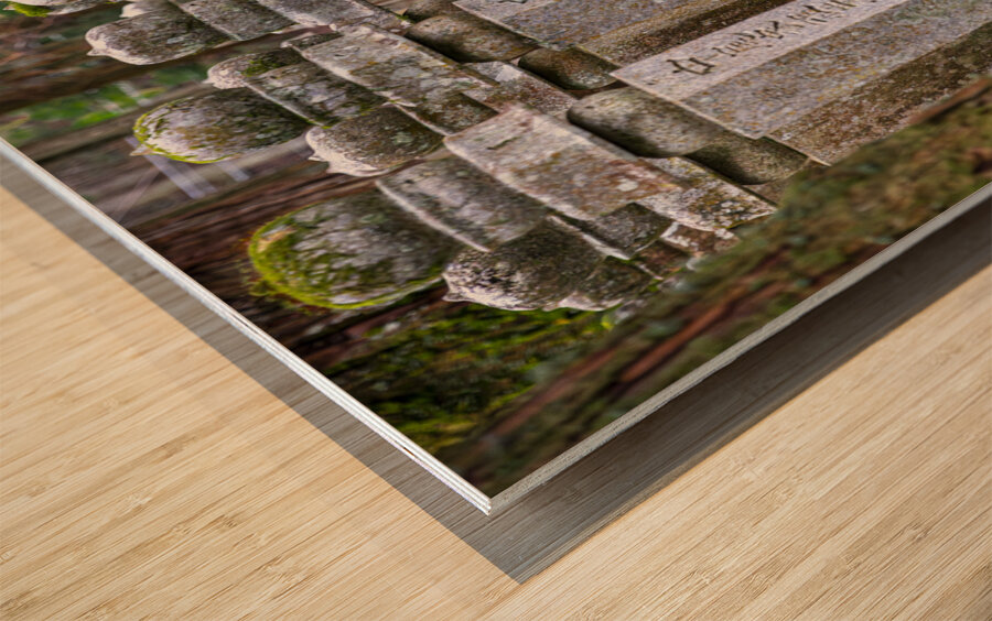stone memorial stones inside the Okunoin background Wood print