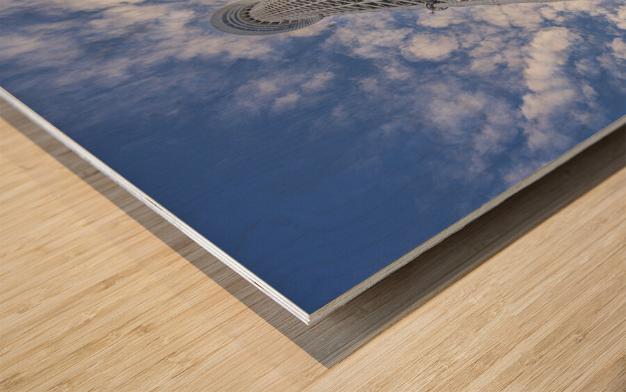 Tokyo Sky Tree bottom view  Wood print