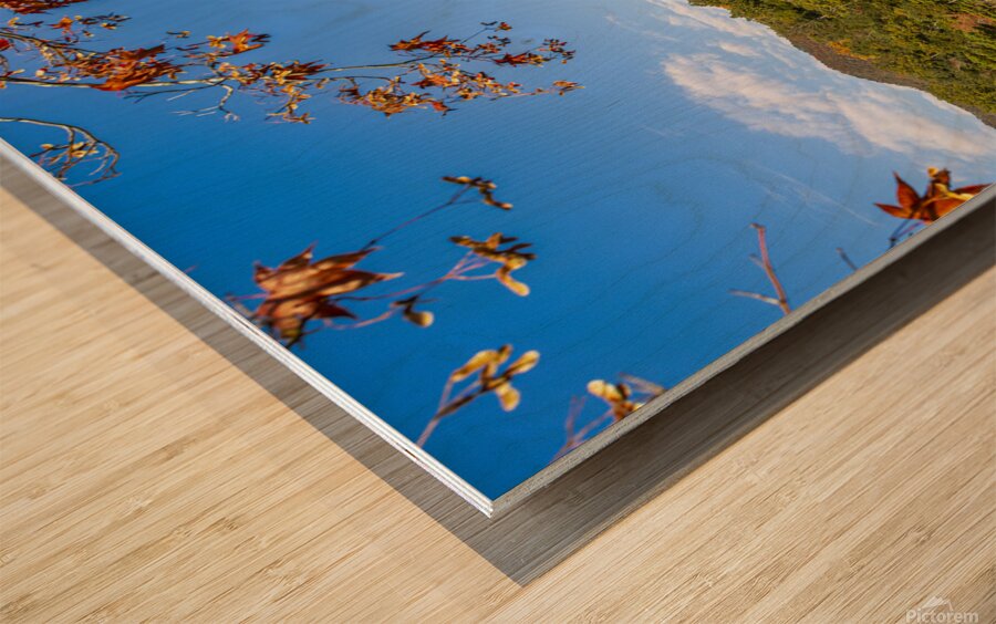 background of Kinkakuji temple  Wood print