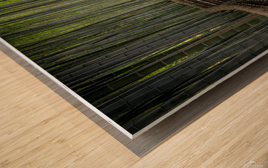 staircase in the bamboo forest of arashiyama  Wood print