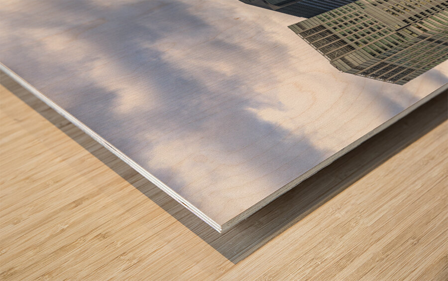  modern buildings in the centre of Tokyo Wood print