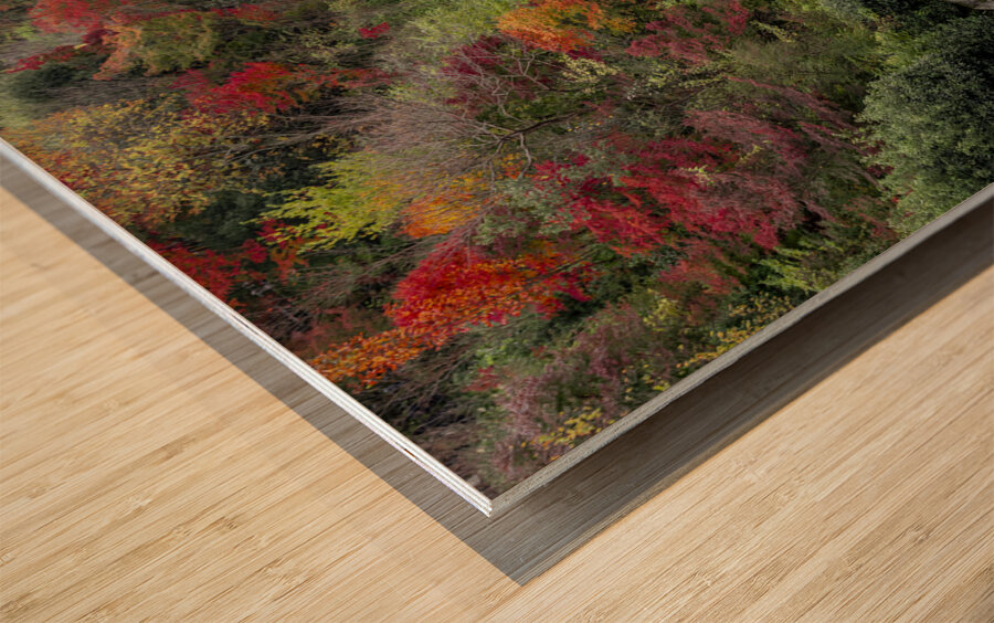 Top view of the kiyomizu dera temple spring Wood print