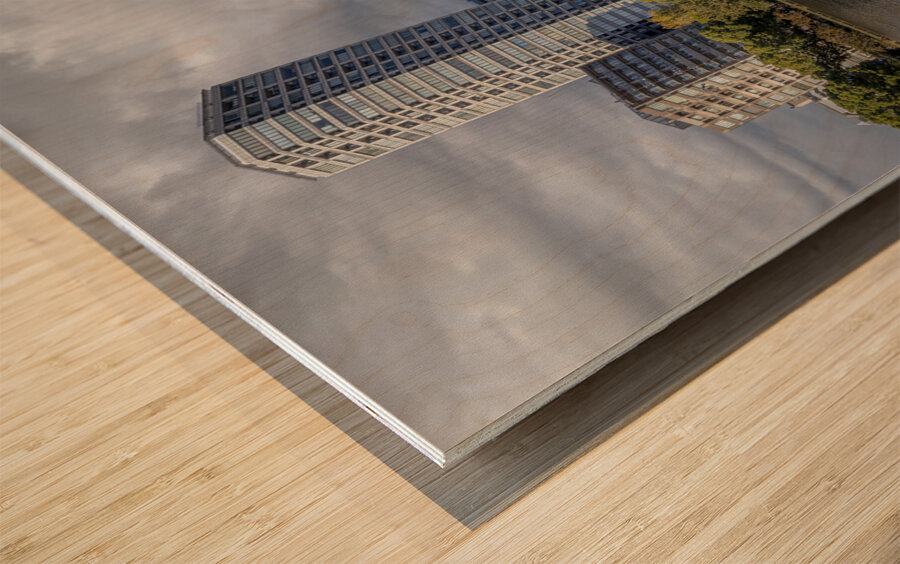 lake in Ueno Park in Tokyo Wood print