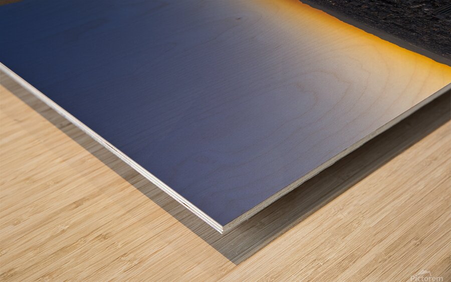 people observe the Tokyo cityscape from the government building Wood print