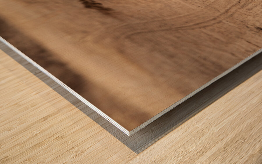 leopard walks in the savannah Wood print