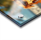 Beer Dog at the Beach 8 Acrylic print