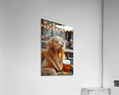 Beer Dog at the Beach 2 Acrylic Print