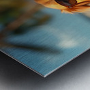 Beer Dog at the Beach 8 Metal print