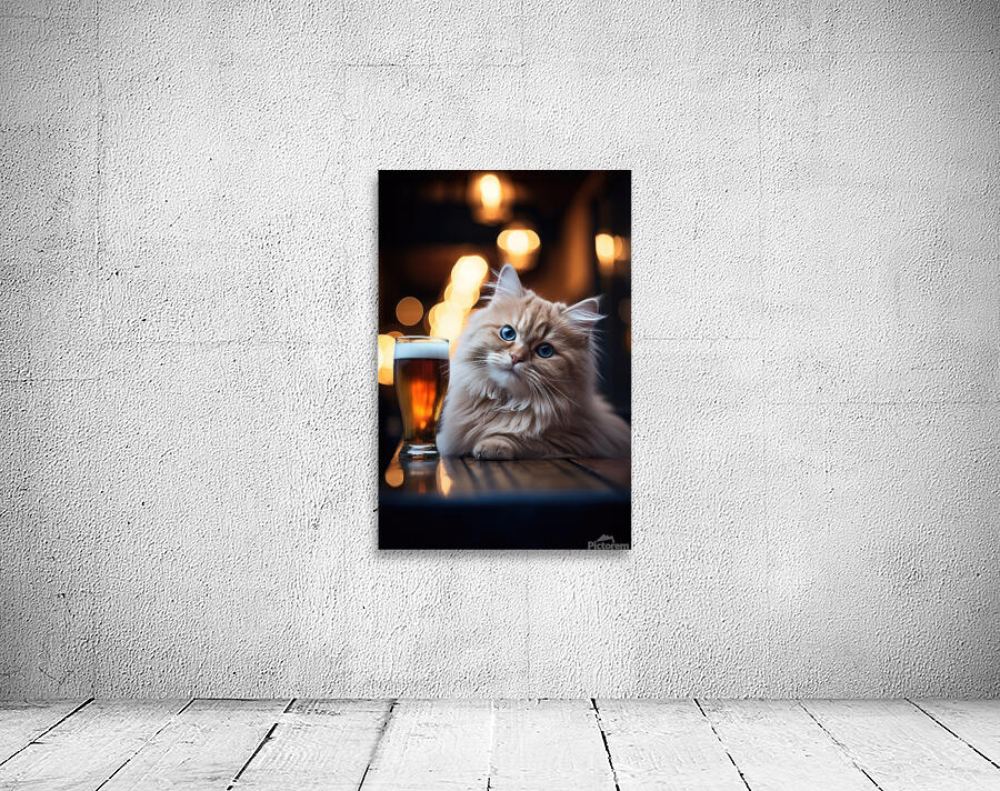 beer cat at the pub 4 4k Wall Preview