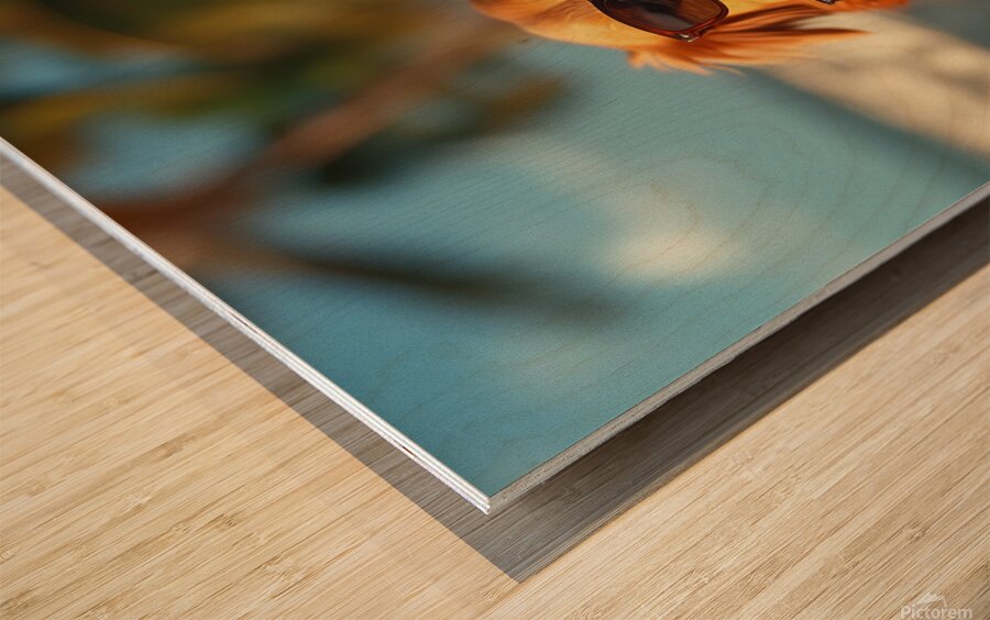 Beer Dog at the Beach 8 Wood print