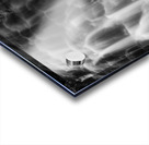 Backlit Crabtree Falls Acrylic print