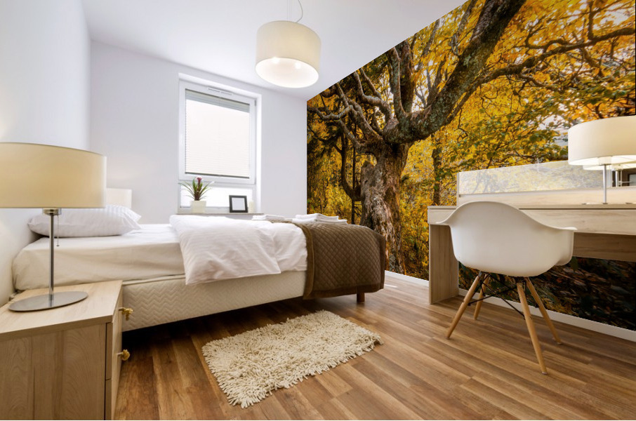 Craggy Beech Mural print