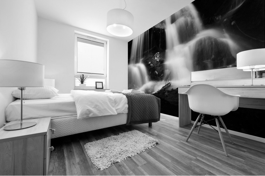 Roaring Fork Falls BW I Mural print