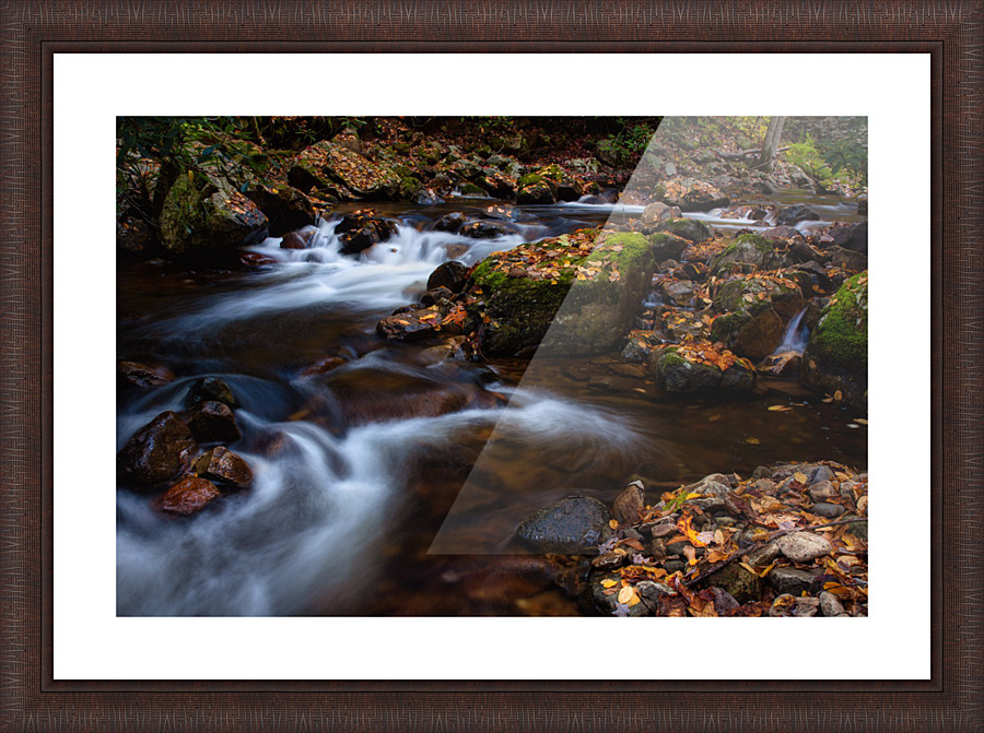 VCT II Picture Frame print