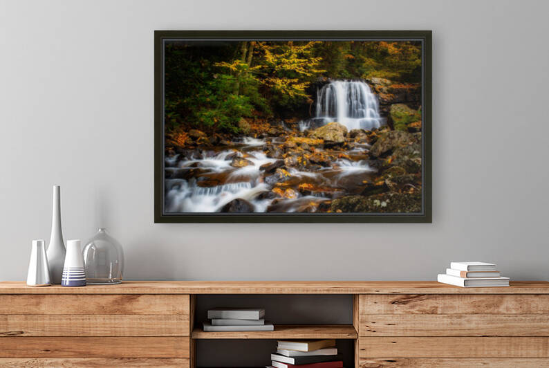 Virginia Creeper Creek by Mark Daniels