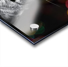 cat bokeh  Acrylic print