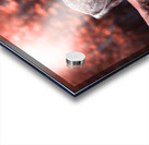 lion and deer Acrylic print