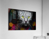 cat bokeh  Acrylic Print