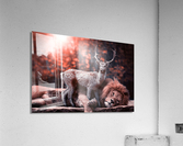 lion and deer Acrylic Print
