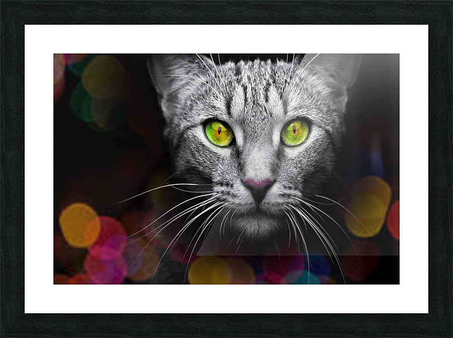 cat bokeh  Picture Frame print