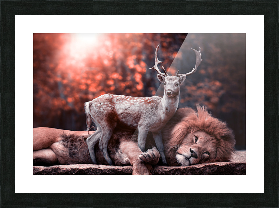 lion and deer Picture Frame print
