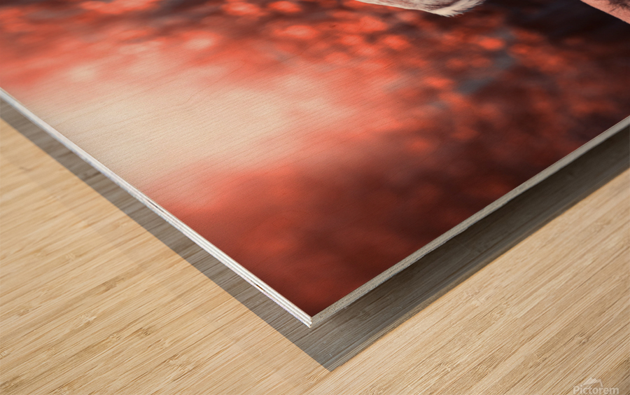 lion and deer Wood print