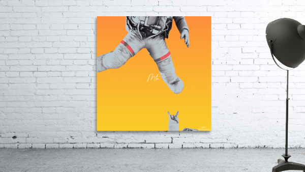 to the moonmta Wall Preview