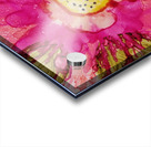 Tickled Pink Tulip Acrylic print
