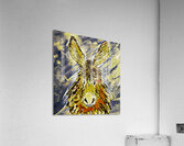 Clarence in Yellow Acrylic Print