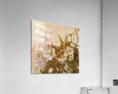 Veiled Visions Acrylic Print