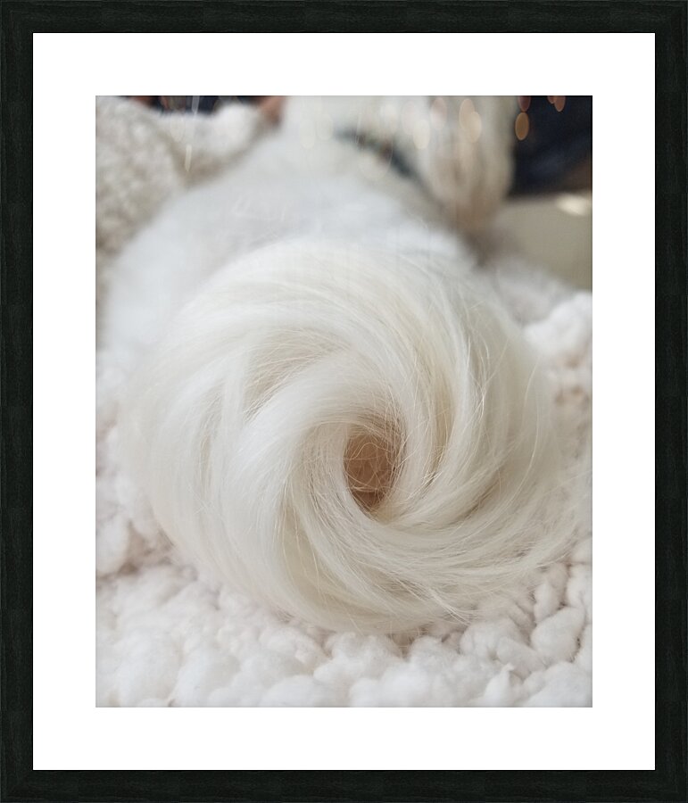PuppyTail Picture Frame print