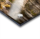 FLA 004 Acrylic print