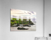 IRL 023 Acrylic Print