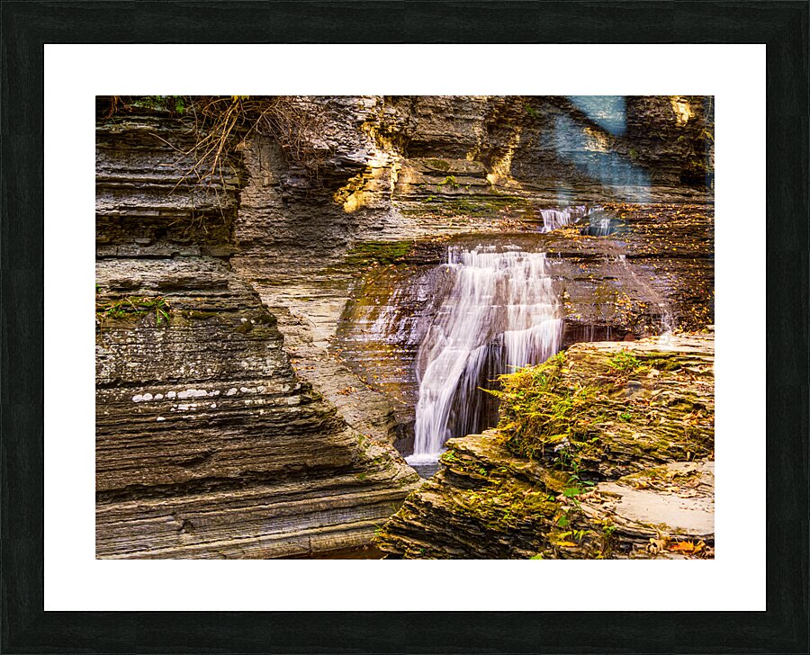 FLA 004 Picture Frame print