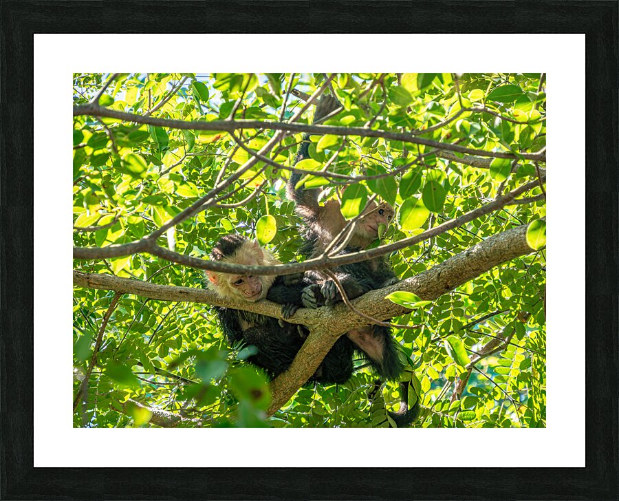 CRW 009 Picture Frame print