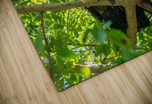 CRW 009 Rafael puzzle